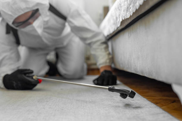 Professional Mosquito Control technician working in Brandywine, MD
