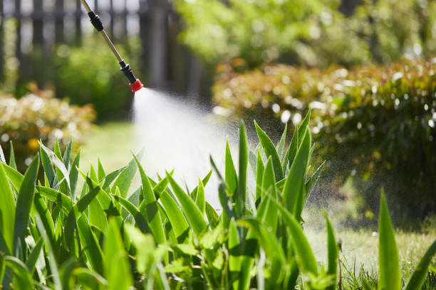 24/7 Emergency Mosquito Control experts in Brandywine, MD