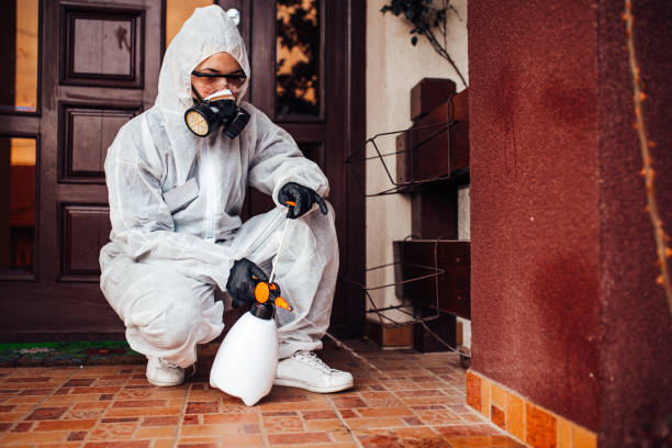 Reliable Mosquito Control contractor in Brandywine, MD by Nex Pest Control