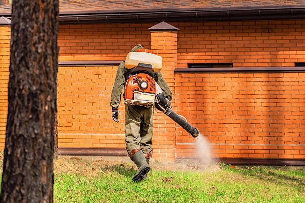 Trusted Mosquito Control service in Brandywine, MD - Nex Pest Control